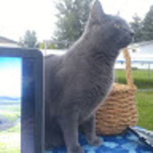 Meet your Posher, Catherine